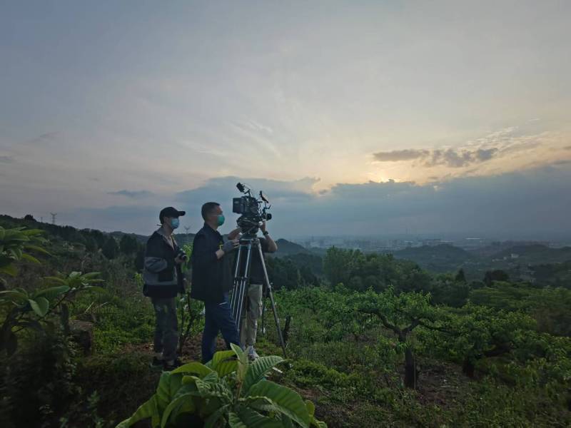 创意破圈！宝丰县电商产品宣传视频用故事化叙事引爆流量