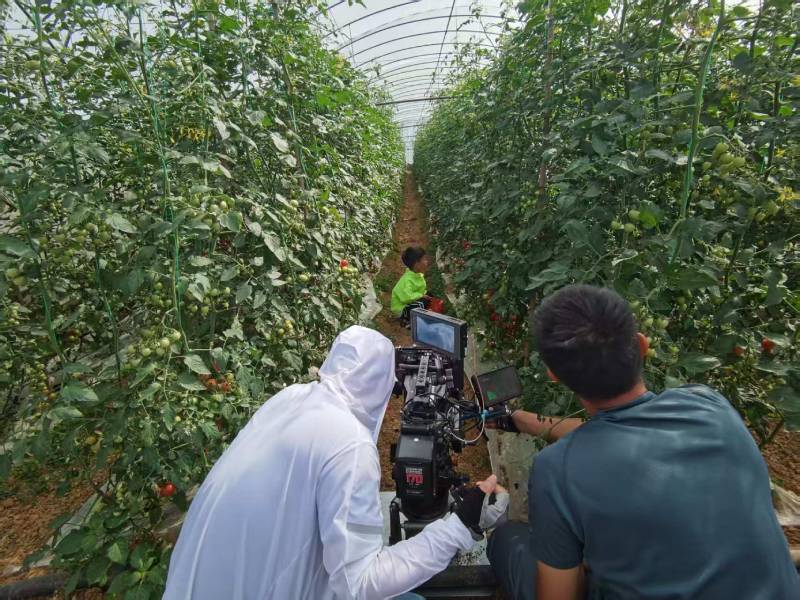 宝丰县产品宣传视频拍摄公司进阶指南，助力品牌抢占传播高地